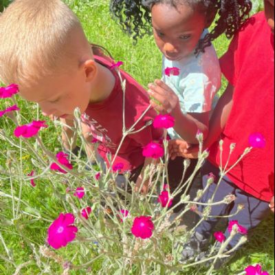 75ea2647-399b-4525-8991-11e39c0f42d1