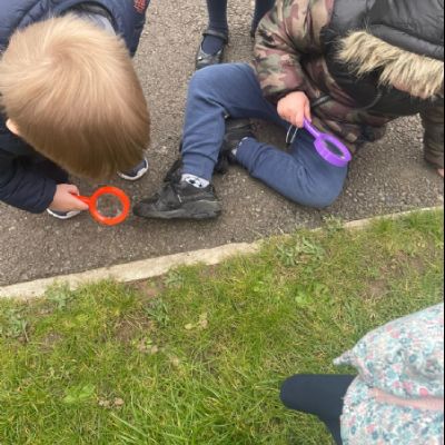 5d5caed0-261a-40b8-9c15-258be9391ae9