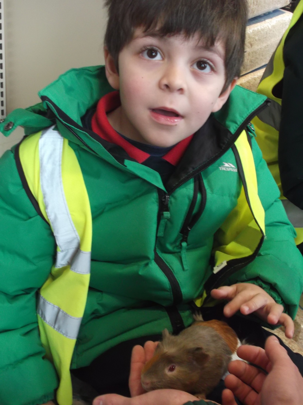 Leesons Primary School Pets at Home Trip